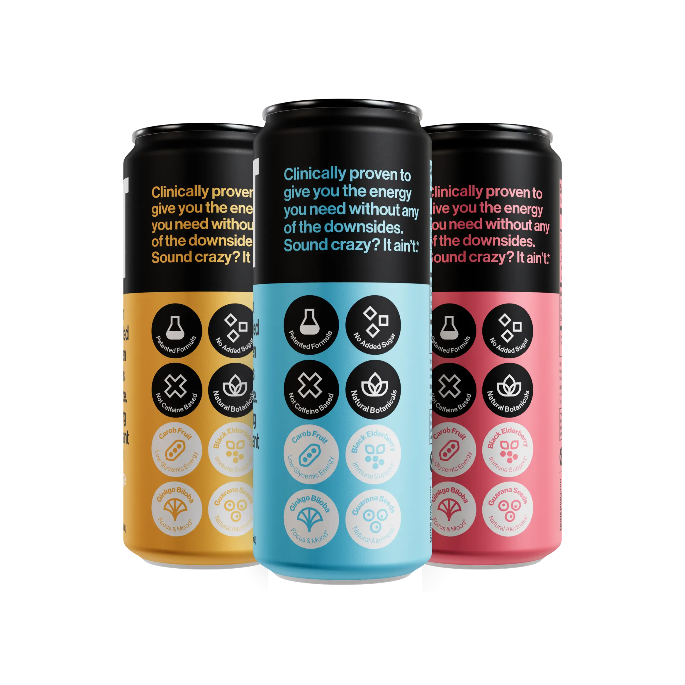 Variety Pack 12-Pack